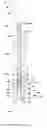 Fig. 01 - Hydraulically actuated apparatus for generating pressure pulses in a drilling fluid