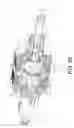 Fig. 18 - Piston assembly for internal combustion engine