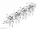 Fig. 01 - Variable valve mechanism of internal combustion engine