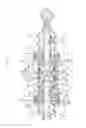 Fig. 04 - Self-triggering, anti-seizing guide bearing,shock absorber and cylinder comprising at least one such bearing