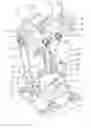 Fig. 01 - Stop arrangement and braking device having such an arrangement