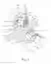 Fig. 02 - GROUNDED DAMPER