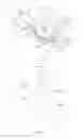 Fig. 12 - Range hood and volute casing thereof