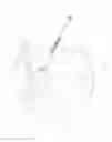 Fig. 06 - Firearm pivot pin system