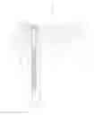 Fig. 07 - Firearm pivot pin system