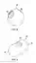 Fig. 04 - Non Lethal Weapon System