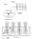 Fig. 06 - Optical system for capillary electrophoresis