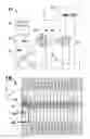 Fig. 01 - Method of targeted mass spectrometric analysis