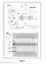 Fig. 02 - Method of targeted mass spectrometric analysis