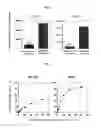 Fig. 03 - Rapid method for measuring cytotoxicity in non-RI system