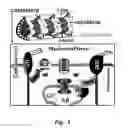 Fig. 02 - Compositions and methods for measuring cellular mechanical stress
