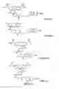 Fig. 03 - Protein labeling with cyanobenzothiazole conjugates