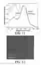 Fig. 10 - LOCALIZED SURFACE PLASMON RESONANCE SENSING OF HUMAN PERFORMANCE BIOMARKERS USING SHORT PEPTIDE RECOGNITION ELEMENTS ON OPTICALLY ACTIVE METAL NANOSTRUCTURES