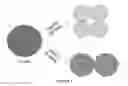 Fig. 02 - Cell-surface marker of early MSC aging