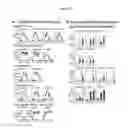 Fig. 02 - Methods of detecting influenza virus