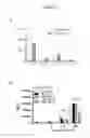 Fig. 04 - Methods of detecting influenza virus