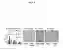Fig. 09 - Methods of detecting influenza virus