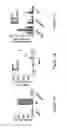 Fig. 02 - METHOD OF TREATING AND REDUCING THE RISK OF ACUTE MYELOGENOUS LEUKEMIA