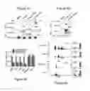Fig. 05 - METHOD OF TREATING AND REDUCING THE RISK OF ACUTE MYELOGENOUS LEUKEMIA