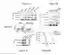 Fig. 08 - METHOD OF TREATING AND REDUCING THE RISK OF ACUTE MYELOGENOUS LEUKEMIA