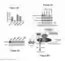 Fig. 10 - METHOD OF TREATING AND REDUCING THE RISK OF ACUTE MYELOGENOUS LEUKEMIA