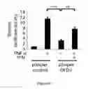 Fig. 22 - SCREENING TARGETS AND COMPOSITIONS AND METHODS FOR TREATMENT OF CILIOPATHY DISORDERS