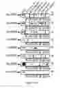 Fig. 35 - SCREENING TARGETS AND COMPOSITIONS AND METHODS FOR TREATMENT OF CILIOPATHY DISORDERS