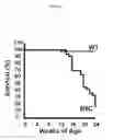 Fig. 02 - Use of IGFBP-7 in the assessment of heart failure