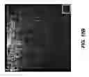 Fig. 22 - Optical phased arrays