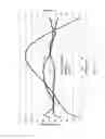Fig. 07 - Zoned optical waveplate