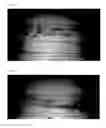 Fig. 02 - Water Window
