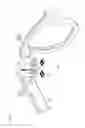 Fig. 02 - One piece eyewear with concealed hinges
