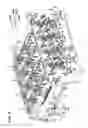Fig. 07 - Image forming apparatus and process cartridge