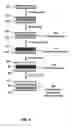 Fig. 09 - Transferable nanocomposites for touch sensors