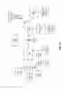 Fig. 02 - Apparatus and method for accurate barcode scanning using dynamic timing feedback