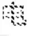 Fig. 112 - Multi-script handwriting recognition using a universal recognizer