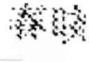 Fig. 121 - Multi-script handwriting recognition using a universal recognizer