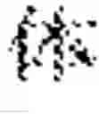 Fig. 47 - Multi-script handwriting recognition using a universal recognizer