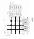 Fig. 13 - Synaptic, dendritic, somatic, and axonal plasticity in a network of neural cores using a plastic multi-stage crossbar switching