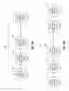 Fig. 22 - Synaptic, dendritic, somatic, and axonal plasticity in a network of neural cores using a plastic multi-stage crossbar switching