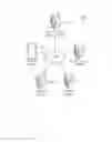 Fig. 02 - Electronic device, certification agency server, and payment system