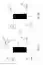 Fig. 06 - Processing Method for Securities Information