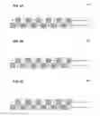 Fig. 06 - IMAGE PROCESSING DEVICES AND IMAGE PROCESSING METHODS