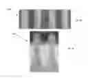 Fig. 07 - HYBRID METROLOGY TECHNIQUE