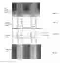 Fig. 09 - HYBRID METROLOGY TECHNIQUE