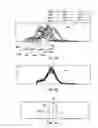 Fig. 03 - Systems and methods for peak tracking and gain adjustment