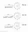 Fig. 35 - METHOD AND APPARATUS FOR SYNTHESIZING AND ANALYZING PATTERNS UTILIZING NOVEL 