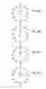 Fig. 47 - METHOD AND APPARATUS FOR SYNTHESIZING AND ANALYZING PATTERNS UTILIZING NOVEL 