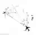 Fig. 08 - System and method for optimizing an aircraft trajectory