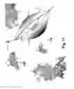 Fig. 19 - System and method for optimizing an aircraft trajectory